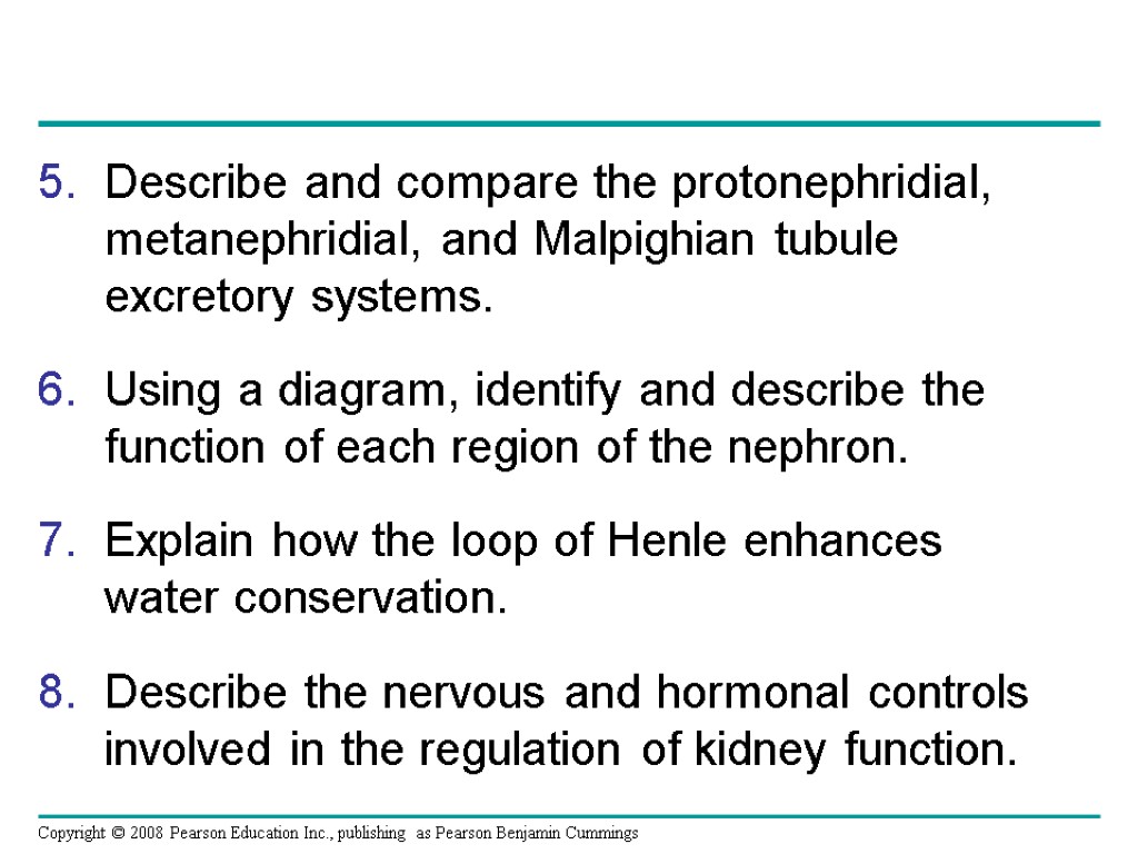 Describe and compare the protonephridial, metanephridial, and Malpighian tubule excretory systems. Using a diagram,